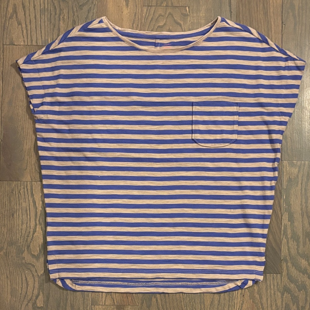 Ann Taylor Loft Striped Blue and Tan Women's Top, Size S